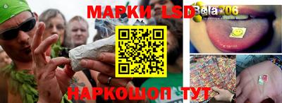 винт Кандалакша