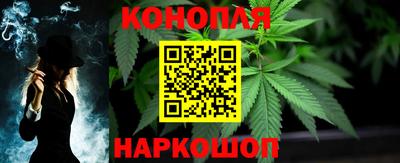 гидра Камышлов