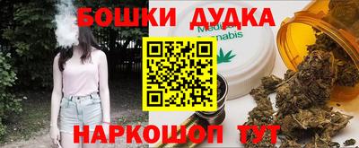 гидра Камышлов