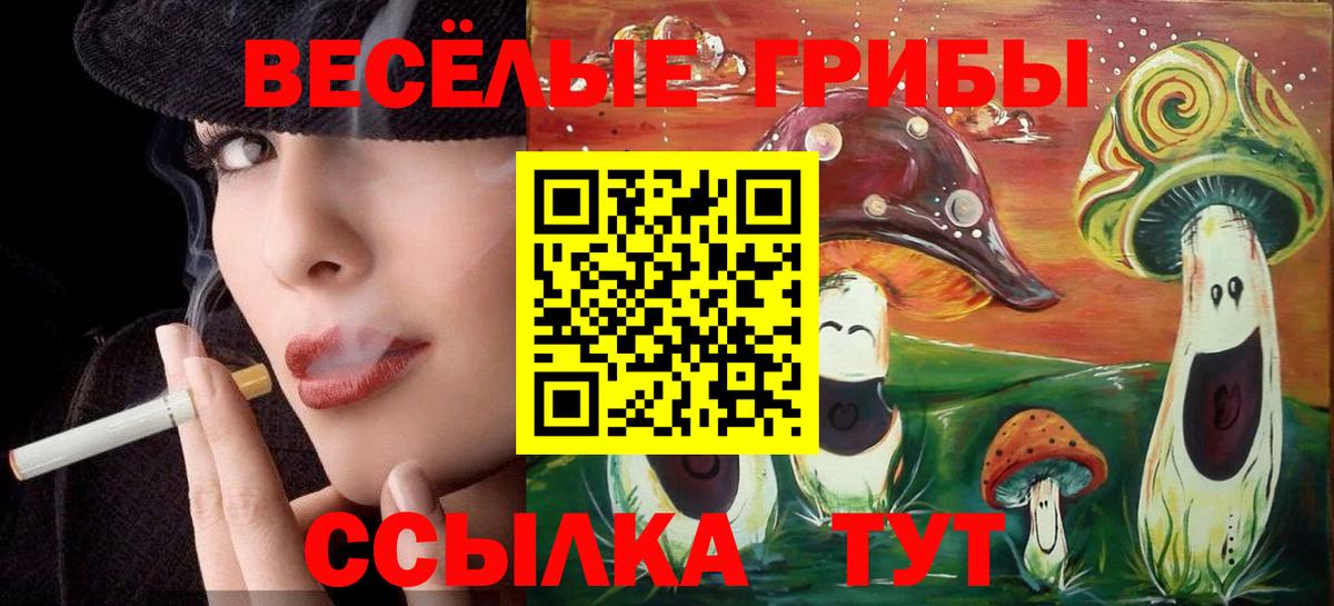 Псилоцибиновые грибы Psilocybe  купить закладку  Вход с VPN  Череповец  Псилоцибиновые грибы GOLDEN TEACHER 